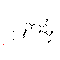 Meropenem (trihydrate)