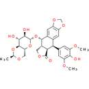 Etoposide