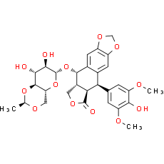 Etoposide