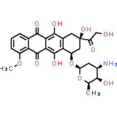 Epirubicin