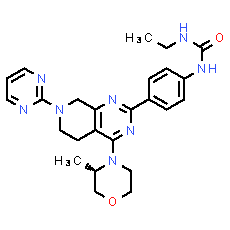 mTOR-IN-1 - CAS