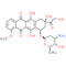 Doxorubicin