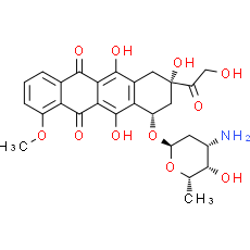 Doxorubicin
