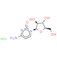 Cytarabine Hydrochloride | CAS