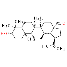 Betulinaldehyde | CAS