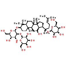 Ginsenoside Rd - CAS