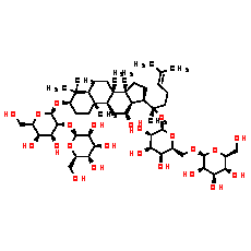 Ginsenoside Rb1 - CAS