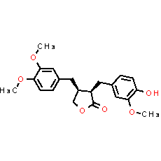 Arctigenin - CAS