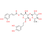 Isoacteoside