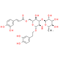Isoacteoside