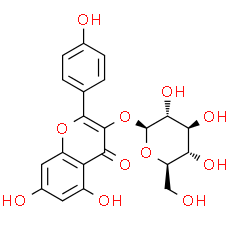 Astragalin