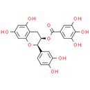 (-)-Epicatechin gallate | CAS