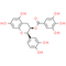 (-)-Epicatechin gallate | CAS#: 1257-08-5