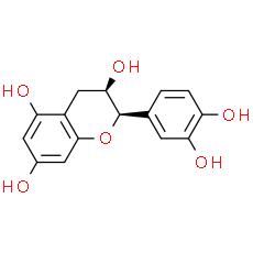 (-)-Epicatechin | CAS