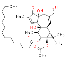 Phorbol 12-myristate 13-acetate. CAS