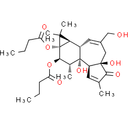 Phorbol 12,13-dibutyrate