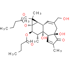 Phorbol 12,13-dibutyrate