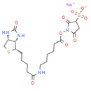 Sulfo-NHS-LC-Biotin | CAS: 191671-46-2