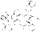 FK506 monohydrate - CAS# 109581-93-3