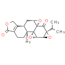 Triptonide - CAS