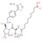 VH 032 amide-alkylC8-acid - CAS# 2172819-77-9