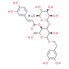 Verbascoside. CAS