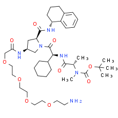 A 410099.1 amide-PEG4-amine