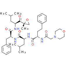 Carfilzomib --- Proteasome Inhibitor