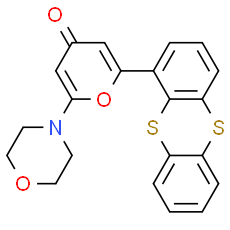 Ku-55933 - CAS