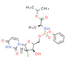 Sofosbuvir, NS5B polymerase inhibitor