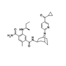 XL888 --- HSP90 Inhibitor