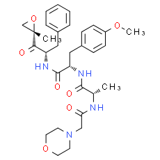 ONX-0914 - Immunoproteasome Inhibitor. CAS