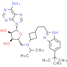 EPZ-5676 - DOT1L inhibitor. CAS