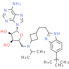 EPZ-5676 --- DOT1L inhibitor